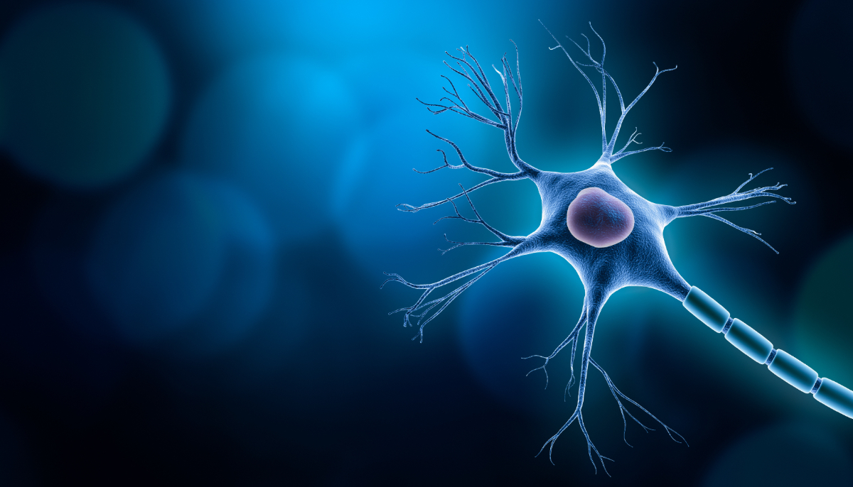 Neuron cell body with nucleus design, 3D rendering illustration with copy space and blue background. Neuroscience, neurology, biology, psychology, medicine, microbiology, scientific research graphic concepts.