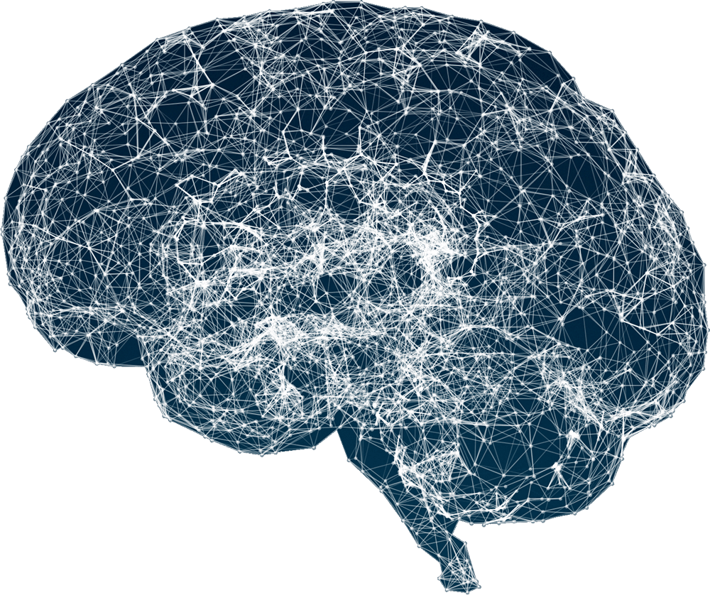 Plexus lines and dots forming a human brain